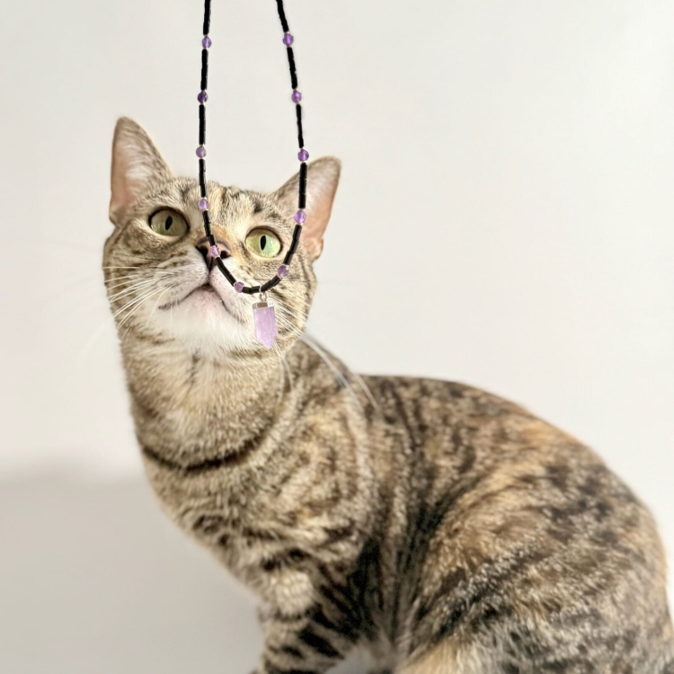 Choker z onyksem i ametystem